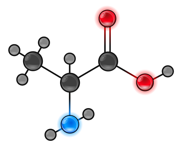 L- Alanina